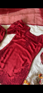 Maroon Elegant Designer Suit - Image 3