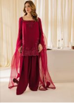 Maroon Elegant Designer Suit