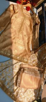 Peach Embroidered Designer Suit - Image 3