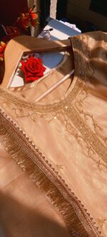 Peach Embroidered Designer Suit - Image 5