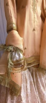 Peach Embroidered Designer Suit - Image 7
